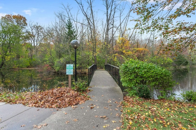 view of home's community with a water view