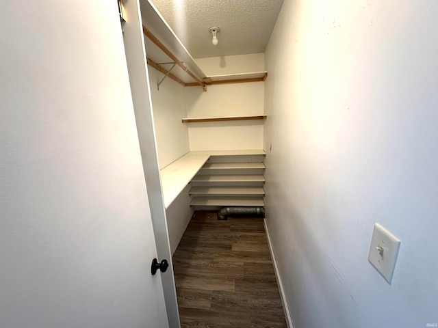 walk in closet featuring dark wood-type flooring