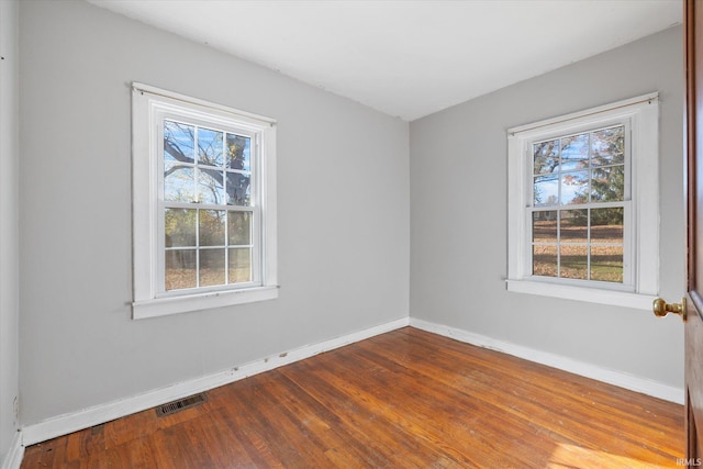 unfurnished room featuring a wealth of natural light and wood-type flooring