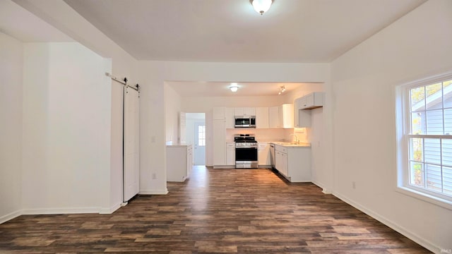 kitchen with plenty of natural light, dark hardwood / wood-style flooring, a barn door, and stainless steel appliances