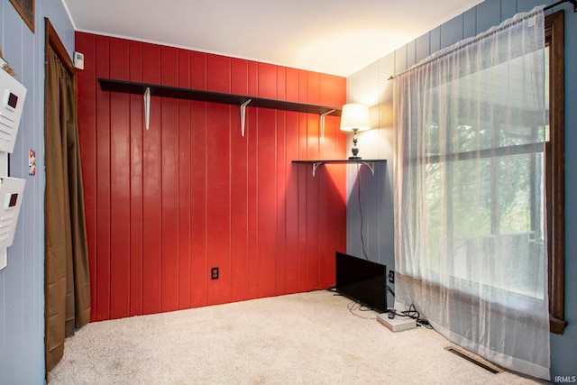 unfurnished room featuring wooden walls and carpet floors