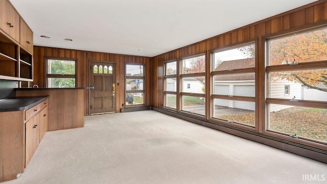 interior space with wood walls, a wealth of natural light, and light colored carpet