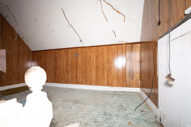 details featuring wood walls and carpet floors