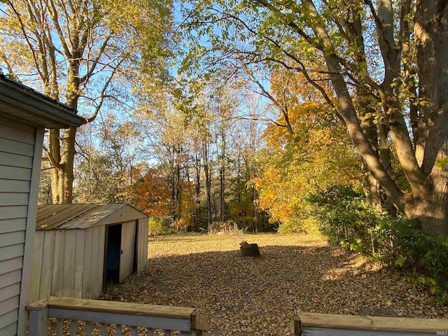 view of yard with a shed