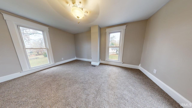 spare room featuring carpet and a wealth of natural light