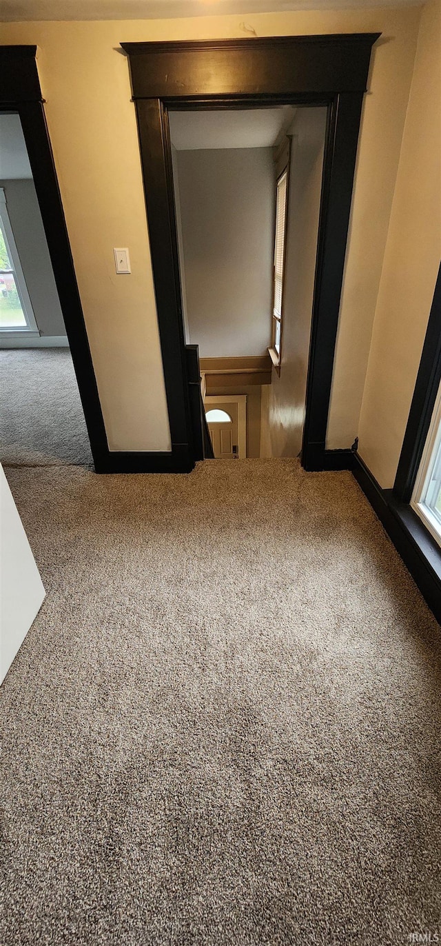 unfurnished room featuring carpet flooring