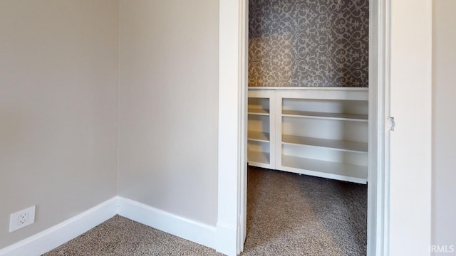 spacious closet with carpet