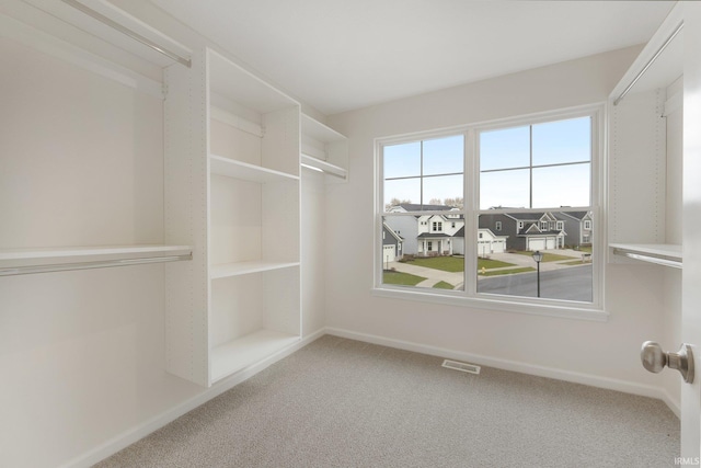 walk in closet with carpet flooring