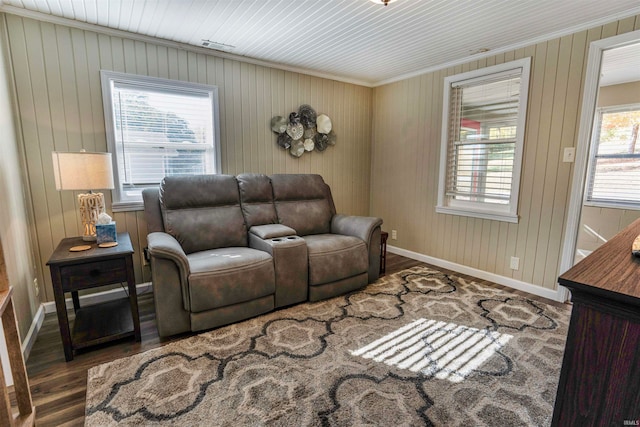 living room featuring dark wood-type flooring, wooden walls, and a healthy amount of sunlight