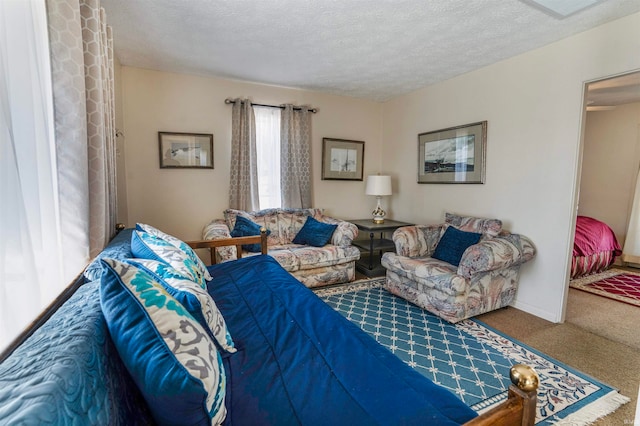 carpeted living room with a textured ceiling