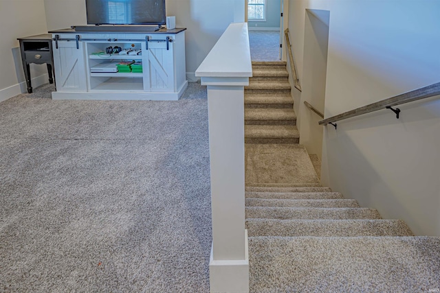 stairs with carpet flooring