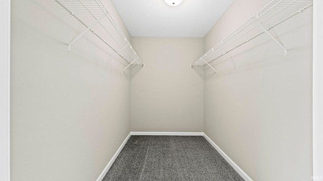 spacious closet with carpet flooring