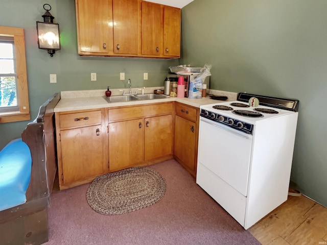 kitchen featuring white range, sink, and light hardwood / wood-style flooring