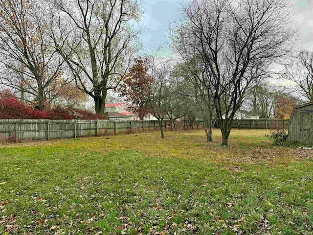 view of yard featuring a shed