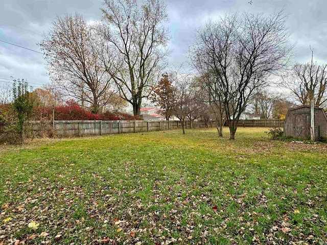 view of yard with a shed