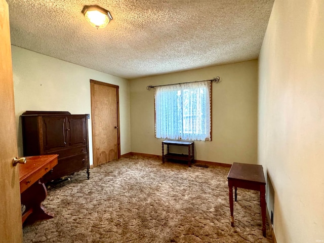 interior space with a textured ceiling and carpet