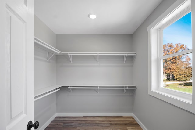 walk in closet with dark hardwood / wood-style flooring