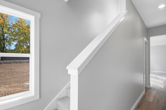 stairs featuring hardwood / wood-style floors and a healthy amount of sunlight