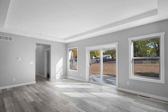 spare room featuring light wood-type flooring and a raised ceiling