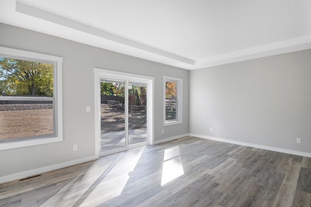 empty room with a tray ceiling and hardwood / wood-style floors