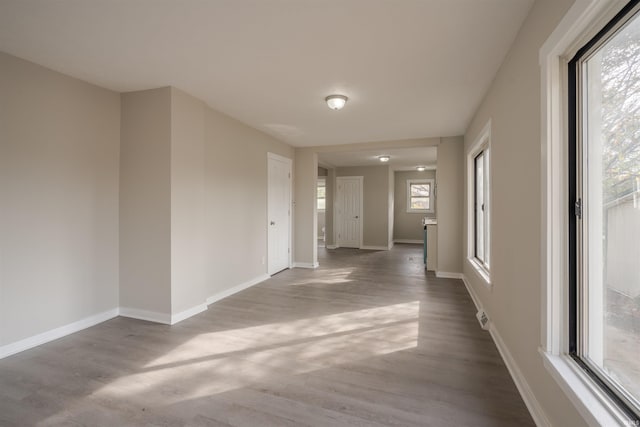 hall featuring wood-type flooring