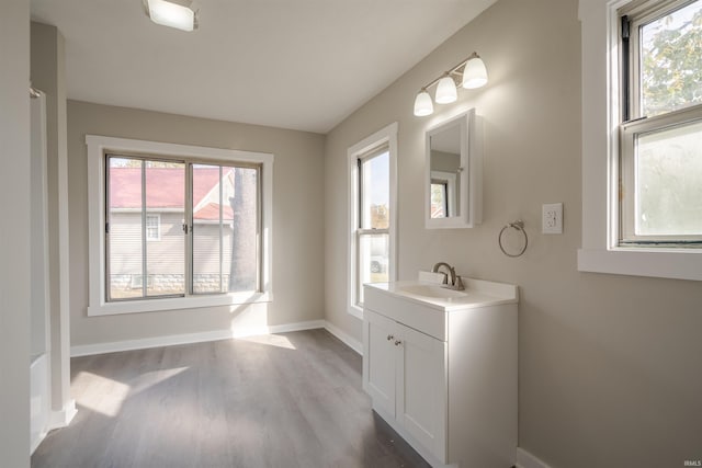 bathroom with vanity and hardwood / wood-style flooring