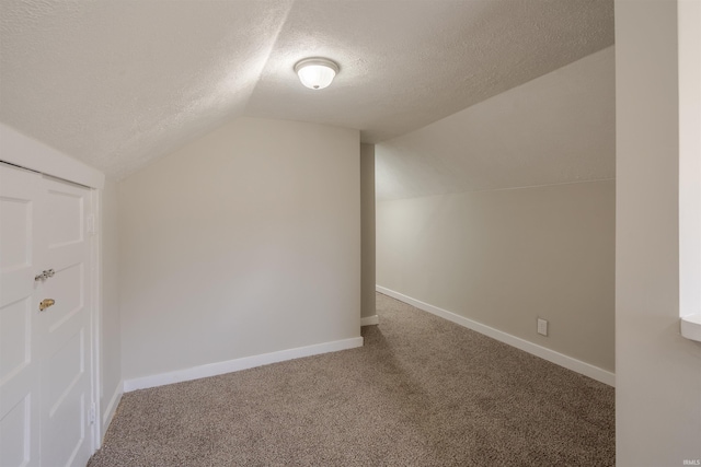 additional living space featuring carpet, lofted ceiling, and a textured ceiling