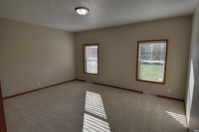 empty room with plenty of natural light, a textured ceiling, and light colored carpet