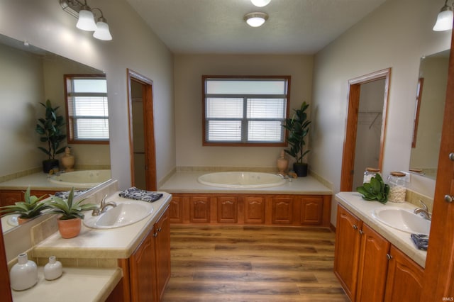 bathroom featuring a bath, hardwood / wood-style flooring, and vanity