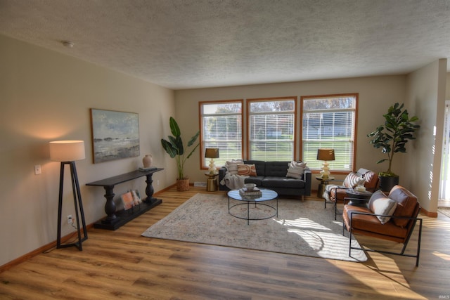 living room featuring hardwood / wood-style floors and a textured ceiling