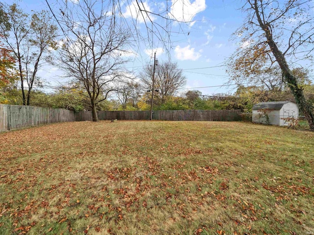 view of yard with a storage unit