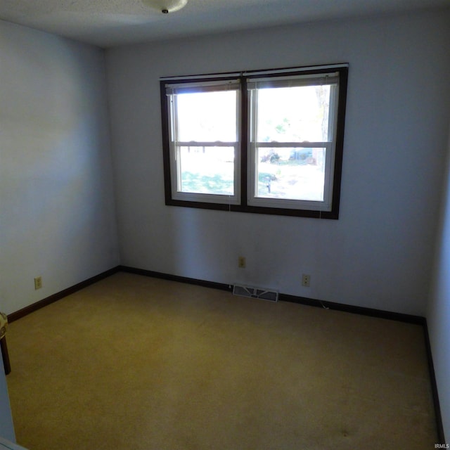 empty room featuring a textured ceiling, light carpet, and a healthy amount of sunlight