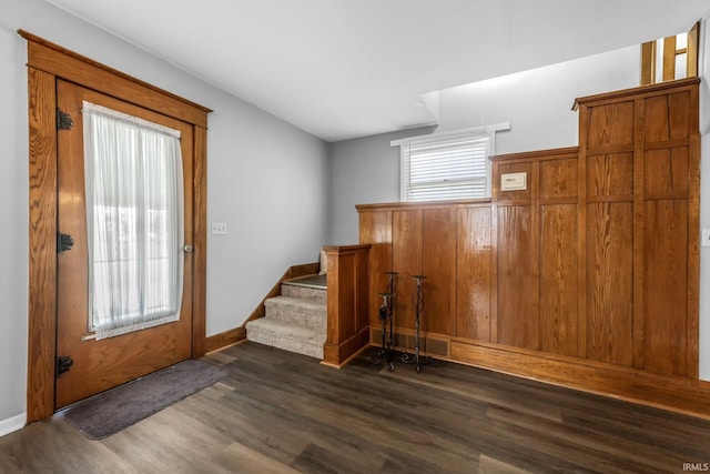 foyer entrance featuring dark wood-type flooring