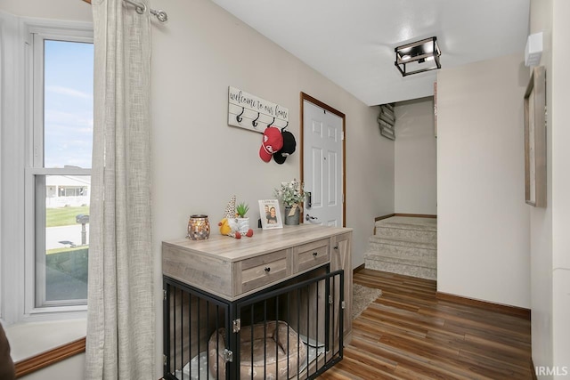 hall with dark hardwood / wood-style floors