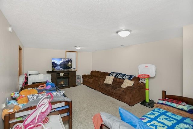 carpeted living room with a textured ceiling