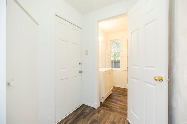 hallway with dark hardwood / wood-style floors and ornamental molding