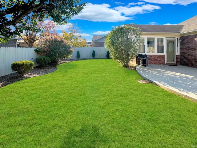 view of yard featuring a patio