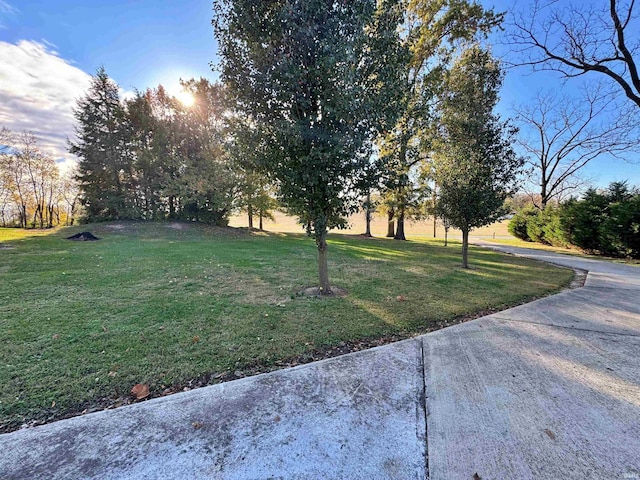 606 S 150 W, Washington, IN 47501 - view of grassy yard