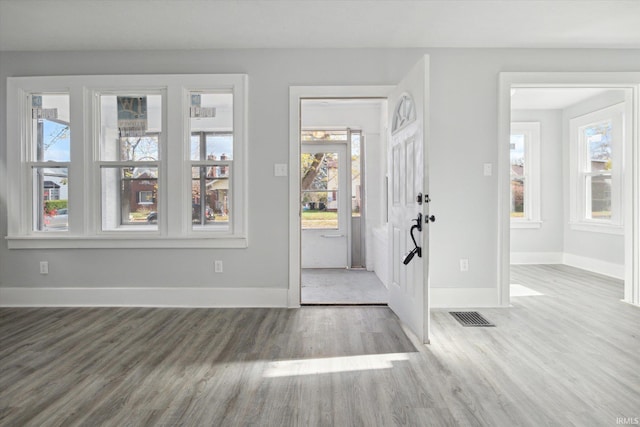 foyer with hardwood / wood-style floors and plenty of natural light