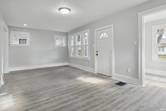 entrance foyer with a wealth of natural light, hardwood / wood-style floors, and a textured ceiling