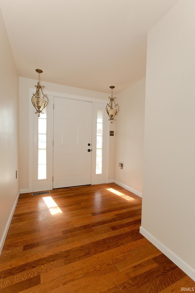 foyer entrance featuring dark wood-type flooring