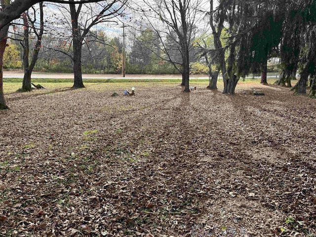 1839 S Meridian Rd, Mitchell, IN 47446 - view of yard