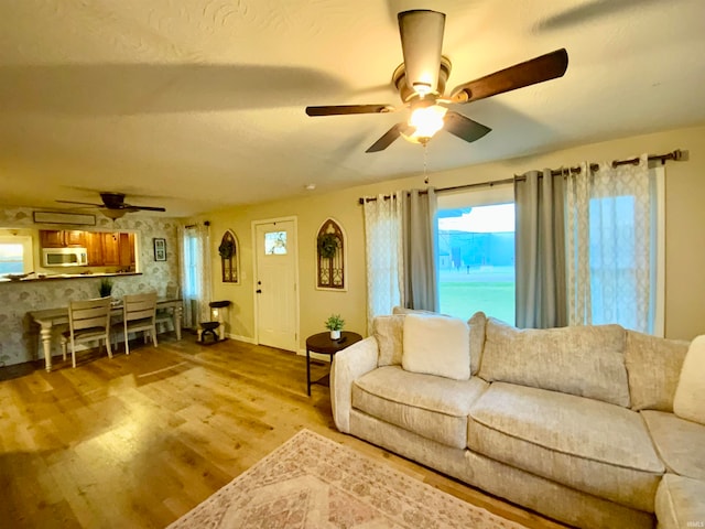 living room with hardwood / wood-style floors and ceiling fan