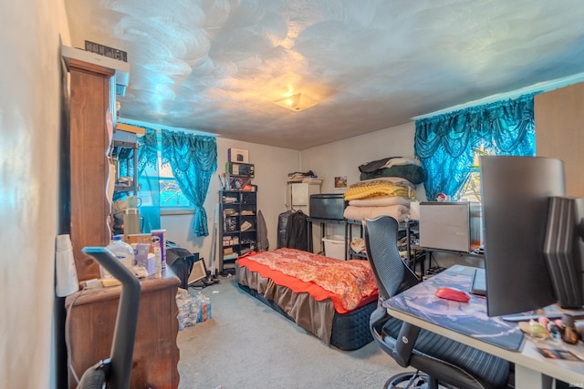 bedroom with carpet floors