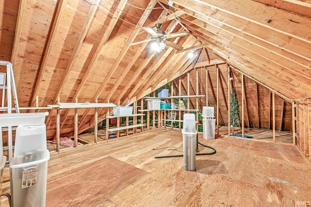 view of unfinished attic