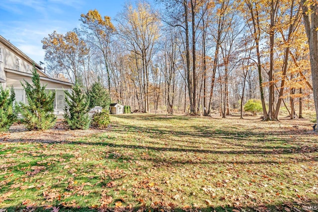 view of yard with a storage unit