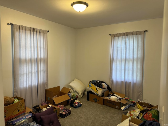 miscellaneous room featuring carpet flooring