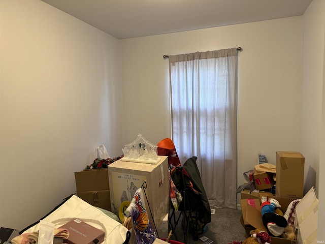 bedroom featuring carpet floors