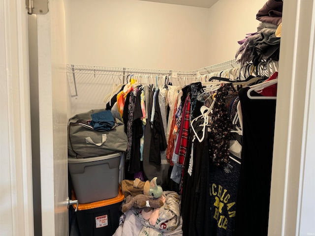 view of spacious closet