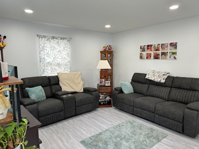 living room featuring hardwood / wood-style floors